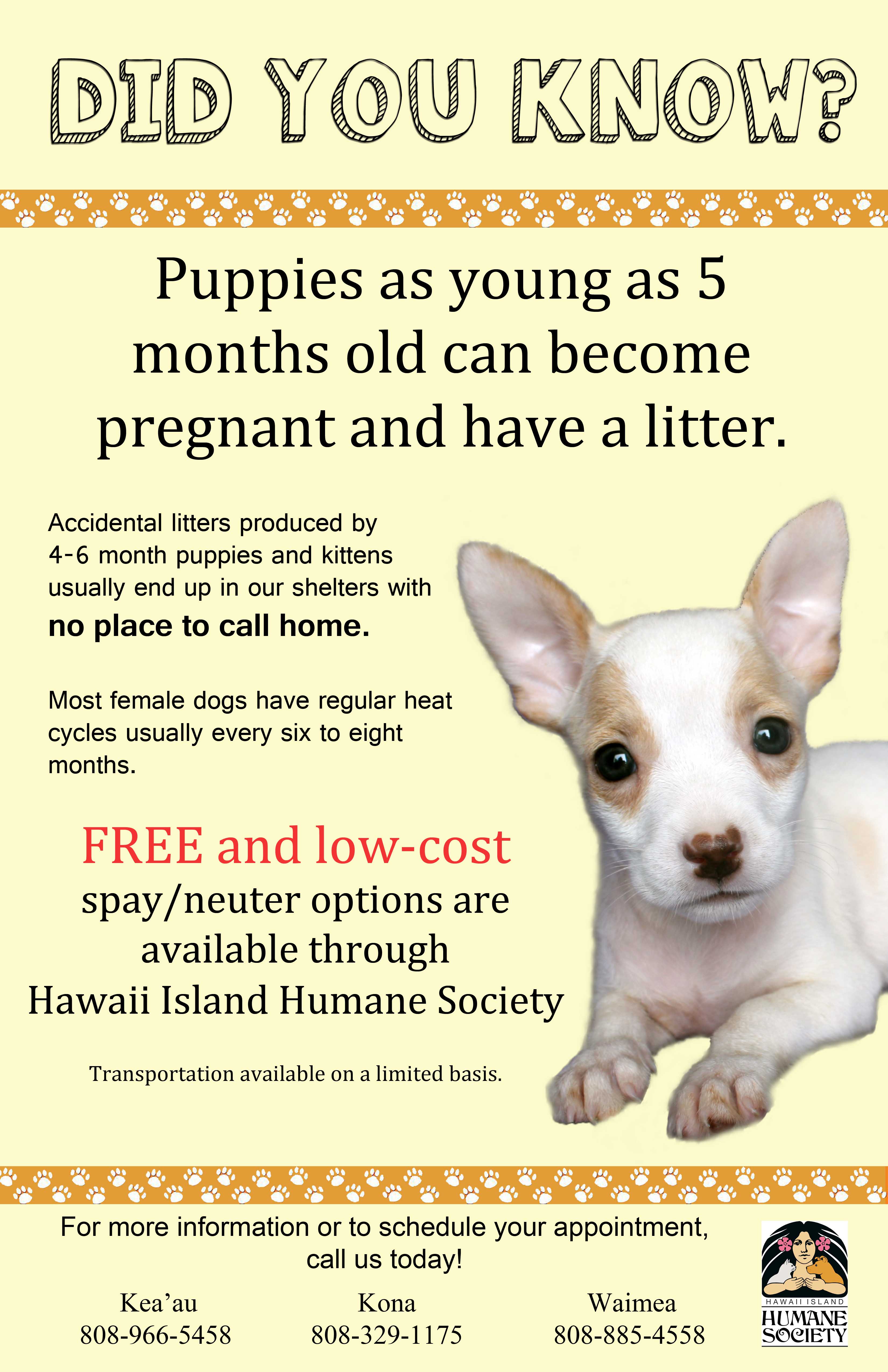 How do you get free neutering for your dogs?